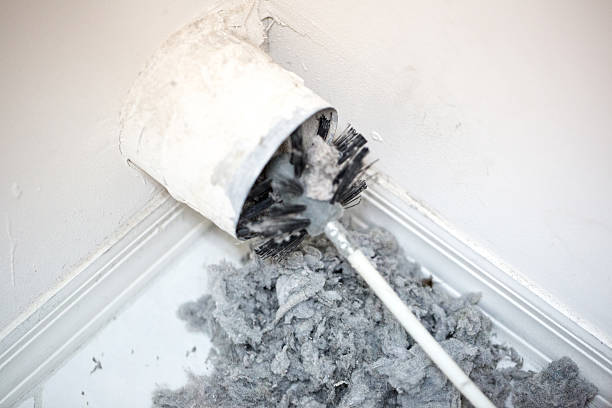 Best Duct Cleaning Specialists  in Tarpon Springs, FL